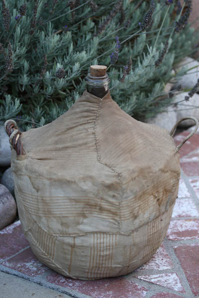 IMG_7849.jpg