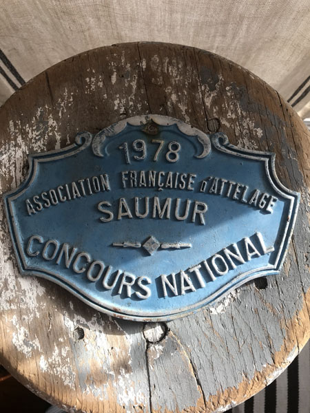 awardhorsesaumur.jpg