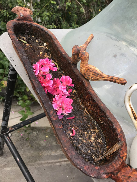 birdbath.jpg