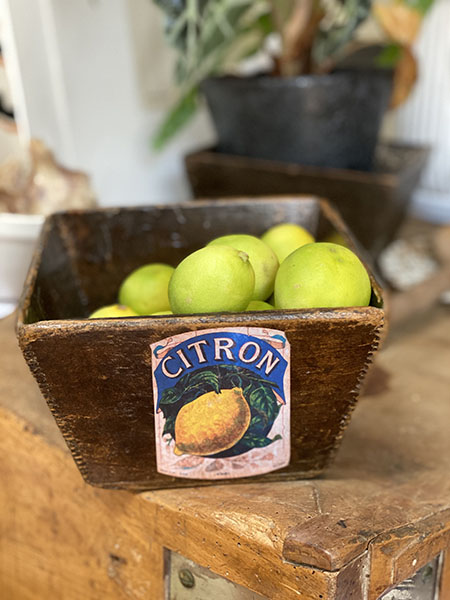 boxbrwncitron.jpg