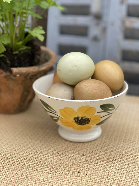 cafeyellowflower.jpg