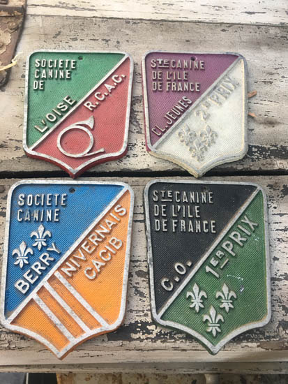 dogawardmedallion.jpg