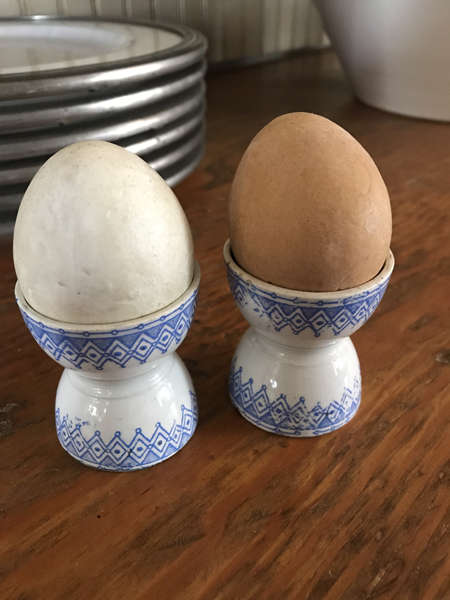 eggblueA.jpg