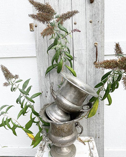 elegantsilverchampbucket.jpg