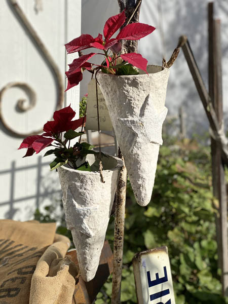 holidaycone.jpg