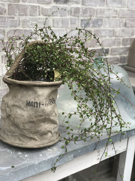 linenbucket.jpg