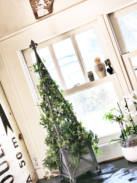topiary1.jpg