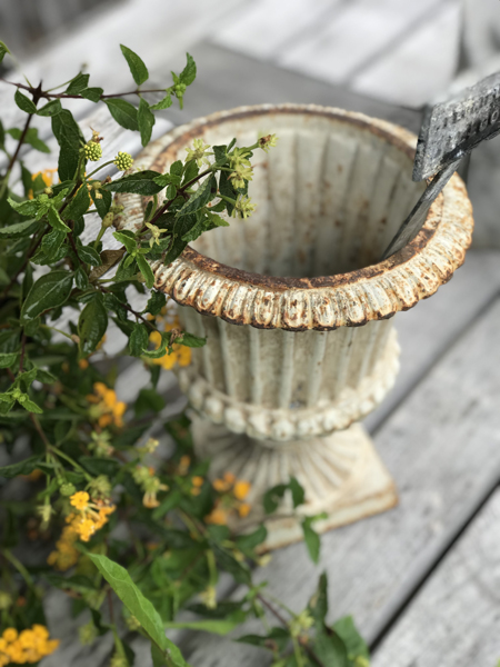 urn8a.jpg