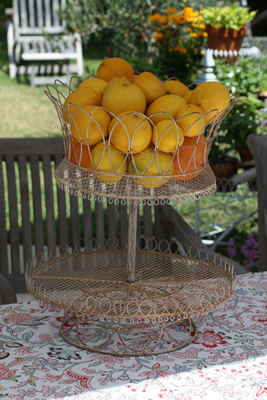 wirewhite2tier.jpg