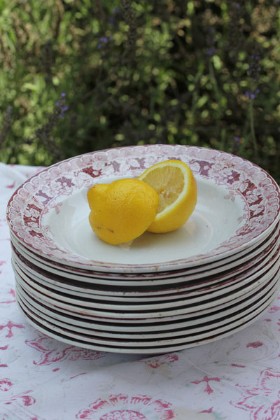 French Ironstone Plates Set 12 #RedFloralSOLD