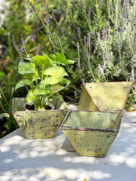 boxgreenapril1