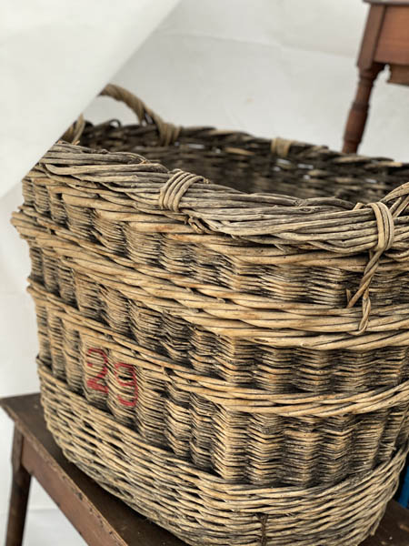 Champagne Harvest Basket