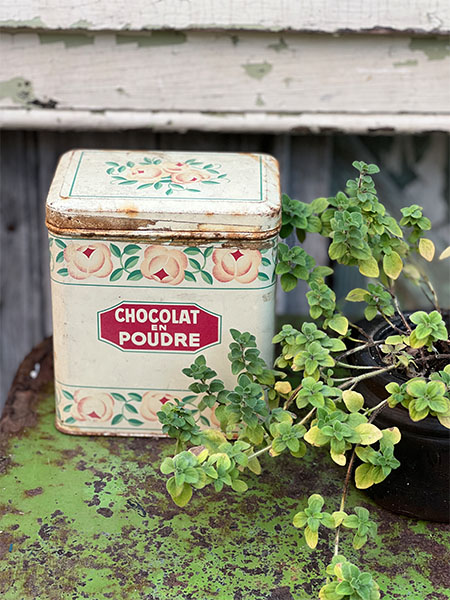 choctinoct1