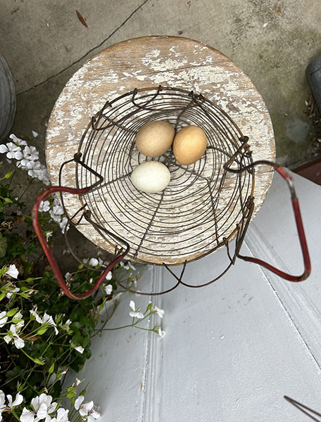 Antique French Egg Basket  #color 3