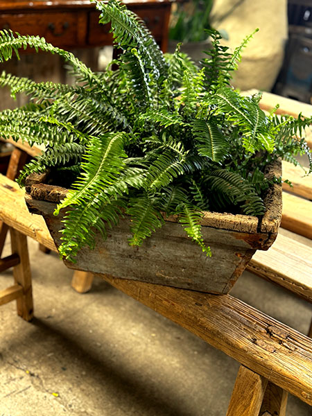 Rustic Farmhouse Grey Garden Planter XL 3