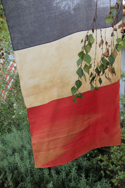 French Flag 5 ft #OC9 1