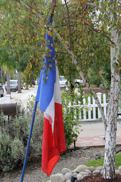 French Flag 8ft #OC5P