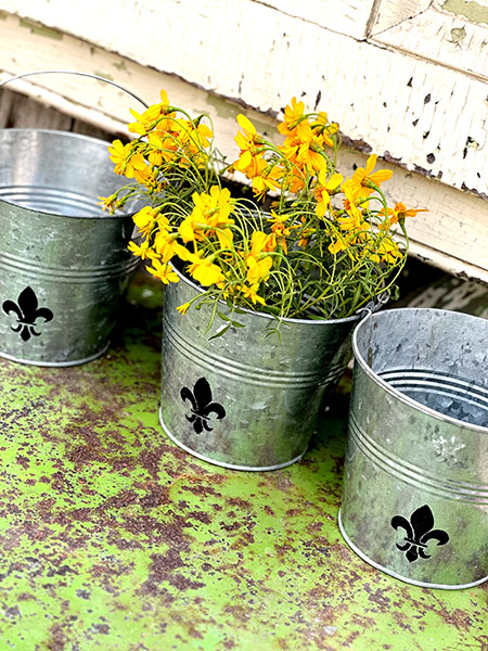 fleuralumpail