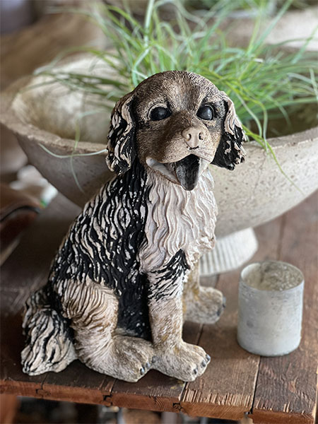 frenchdog1