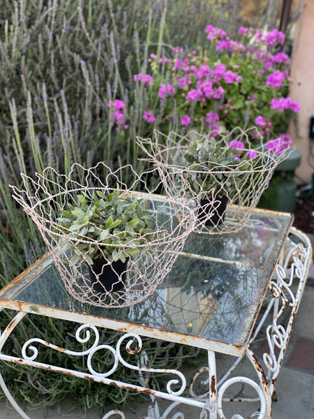 French Lace Wire Basket 