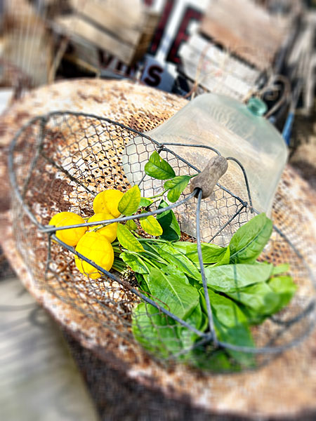 Antique French Wire Basket - Lettuce #21