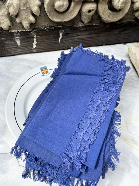 Blue Fringe Napkins  #set5