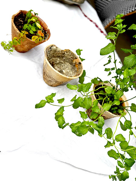 pitchpot25Aug1