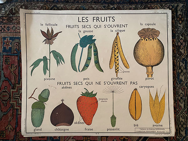 posterLesfruits.jpg