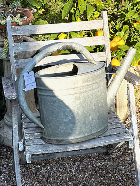 Antique French Watering Can #blk16