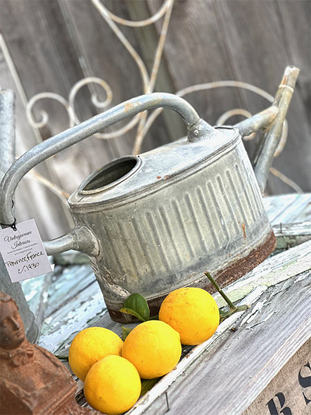 Antique French Watering Can #rib10