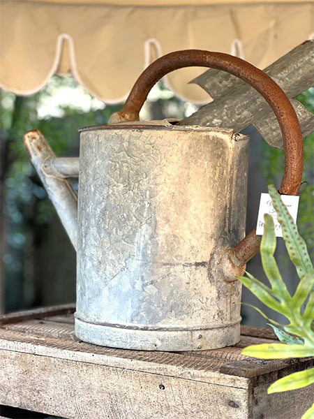 Antique French Watering Can #rust17