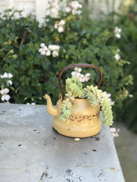 Vintage European Teapot #yb